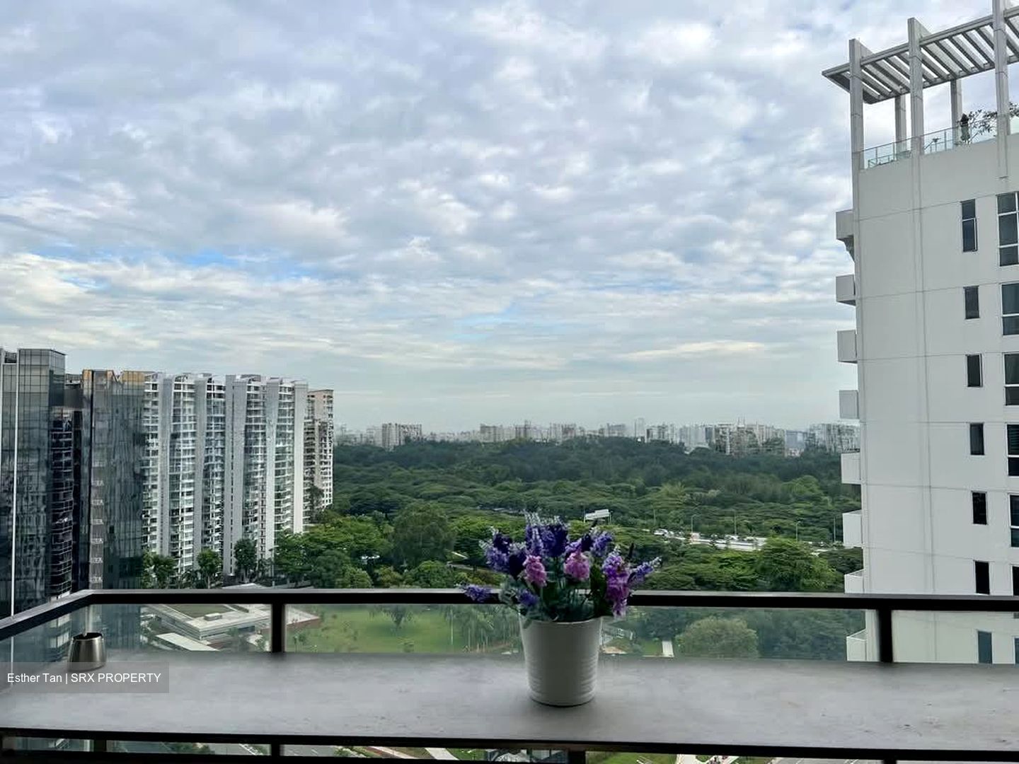 Fulcrum (D15), Condominium #569172421